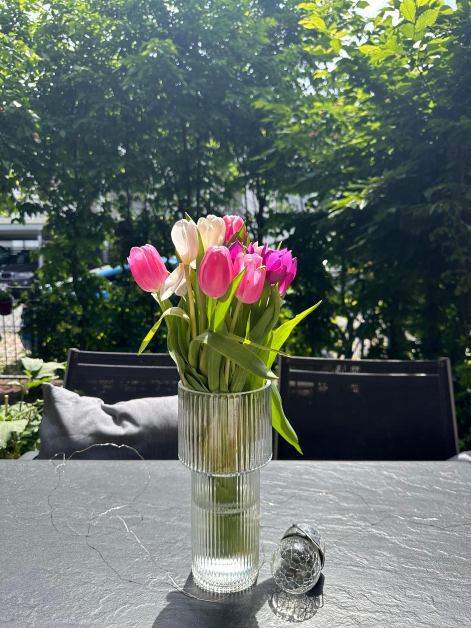 Luxus I Wohnkueche I Garten I Terrasse I Parkplatz Fürth 외부 사진